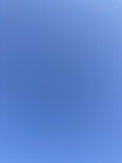 2020-10-06_10-21-31_DAB04172-4E8E-4B86-A900-4F9E787D71B5.jpg