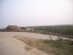 4674RIMG0112.JPG