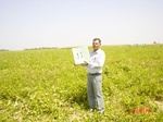 6465gt011-cropland.jpg