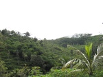 16310IMG_5084.JPG