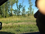 57986IMG_0949.JPG