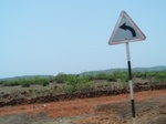 1726920042008(53).JPG