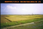 40430ANH210.JPG