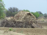 487102052008(65).JPG