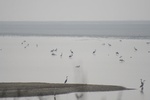4164IMG_8801.JPG