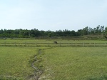 17544100_2805.JPG