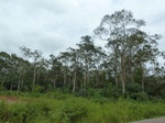 20035P1010885.JPG