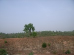 3817RIMG0121.JPG