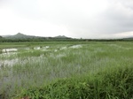 2012-09-07_10-16-21_CIMG6685.JPG