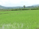 2012-09-07_10-05-25_CIMG6651.JPG
