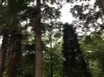 2017-09-10_08-35-17_2CA1AC26-81D3-4FF4-84B4-00CC662B10A5.jpg