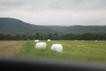2022-06-12_15-25-22_699F9AE2-0EF0-4DC6-966B-005C000A755D.jpeg