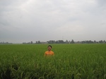 16055IMG_4794.JPG