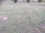 2020-09-30_15-50-00_2020-9-30-7-21-41.jpg
