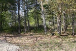 205IMG_4101.JPG