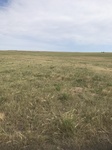 2017-07-02_18-56-34_B31C80B4-2A5A-41FE-8649-2E133582CBE4.jpg