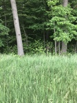 2018-05-27_05-33-51_46E9D363-DD12-47F3-861B-1BAEB7532A50.jpg