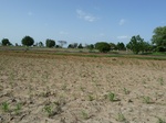 19316P1010162.JPG