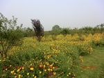 38884CIMG4432.gps.jpg