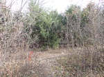 2020-12-04_09-20-09_PB040108_P1_C2.JPG
