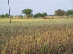 515722042008(107).JPG