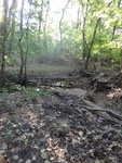 2012-09-24_10-40-04_DSC03074.JPG
