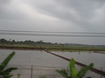 15735IMG_4822.JPG