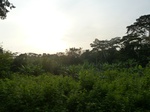 19875P1010725.JPG