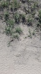 2017-07-04_23-34-31_IMG_20170704_162746.jpg