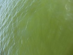 2012-09-21_14-26-16_CIMG3158.JPG