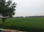 2017-09-10_07-08-32_F7059F36-D889-4C4A-AB10-D8C242B2F234.jpg
