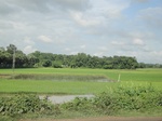 21292DSC00879.JPG