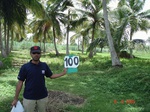 60260100c-irrigated-canal-sugarcane-dominant-rice-doublecrop.jpg