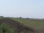 17328100_2014.JPG