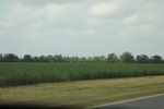 2022-05-26_14-58-48_6CBAFBF9-6969-4312-8844-14309640EA69.jpeg