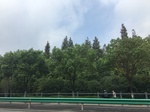 2017-09-12_03-18-41_A0F3CF5C-1D6C-40B0-BAFB-DC4C7B004B2B.jpg