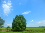 57638CIMG4227.JPG