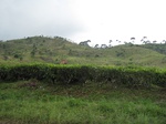 15290IMG_4123.JPG