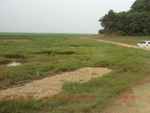 38845CIMG4768.gps.jpg
