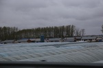 2017-05-12_18-04-49_2017-05-06 20.14.16.jpg