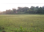1708011052008(88).JPG