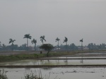14459IMG_4812.JPG