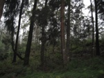 15021IMG_3834.JPG
