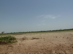 19201P1010047.JPG