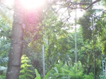 543110052008(46).JPG