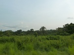 19861P1010711.JPG