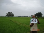 73750295d-irrigated-supplemental-major-tank-rice-doublecrop-wheat.jpg