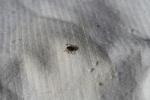 350IMG_3459.JPG