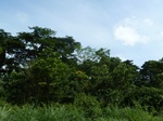 20124P1010975.JPG