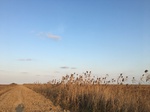 2018-01-08_09-58-53_0BE15858-C3BA-4DC3-AFE0-E1CCE23AD661.jpg